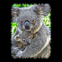 Koala T  Shirtkoala   11 T  Shirt Urban Heavy Tee | Teevron