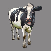 Holstein Bull Vintage Tee | Teevron