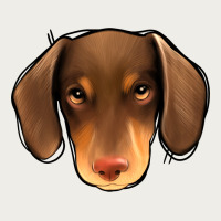 Dachshund Zipper Hoodie | Teevron