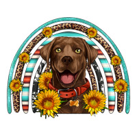 chocolate labrador rainbow | Teevron