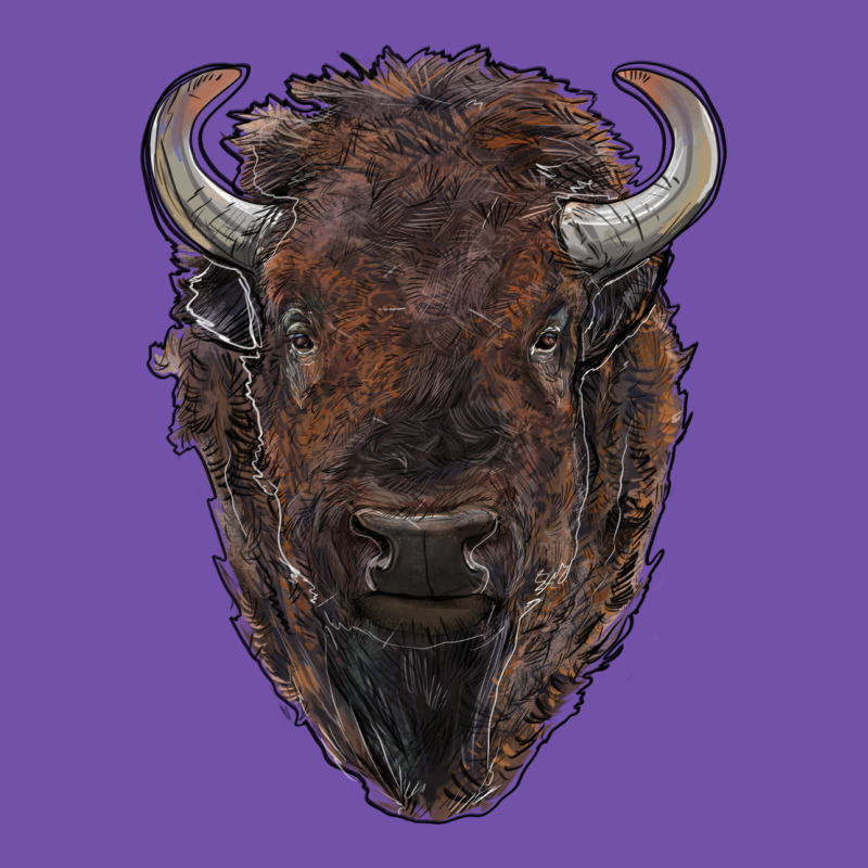 American Bison Premium Sweatshirt by RanaPortraitStore | Teevron