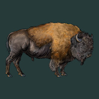 American Bison Body Premium Sweatshirt | Teevron