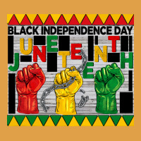 Black Independence Day Juneteenth Tumbler Premium Hoodie | Teevron