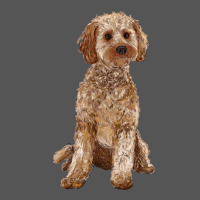 Cockapoo Zipper Hoodie | Teevron