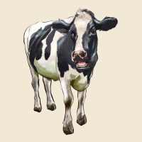 Holstein Bull Ladies Tee | Teevron
