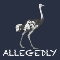 Allegedly Heavyweight Sweatshirt | Teevron
