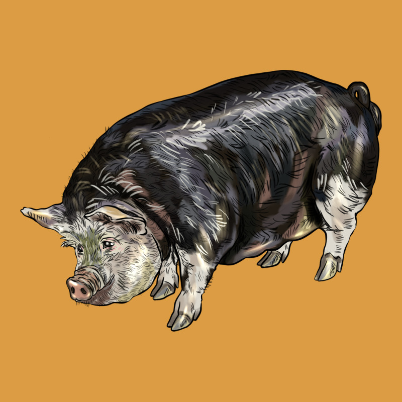 Poland China Pig Urban Heavy Tee by LillyAllenDesigns | Teevron
