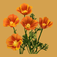 California Poppy Flower Urban Hoodie | Teevron