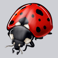 Ladybug Classic Tee | Teevron