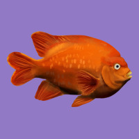 California Garibaldi Fish Urban Hoodie | Teevron
