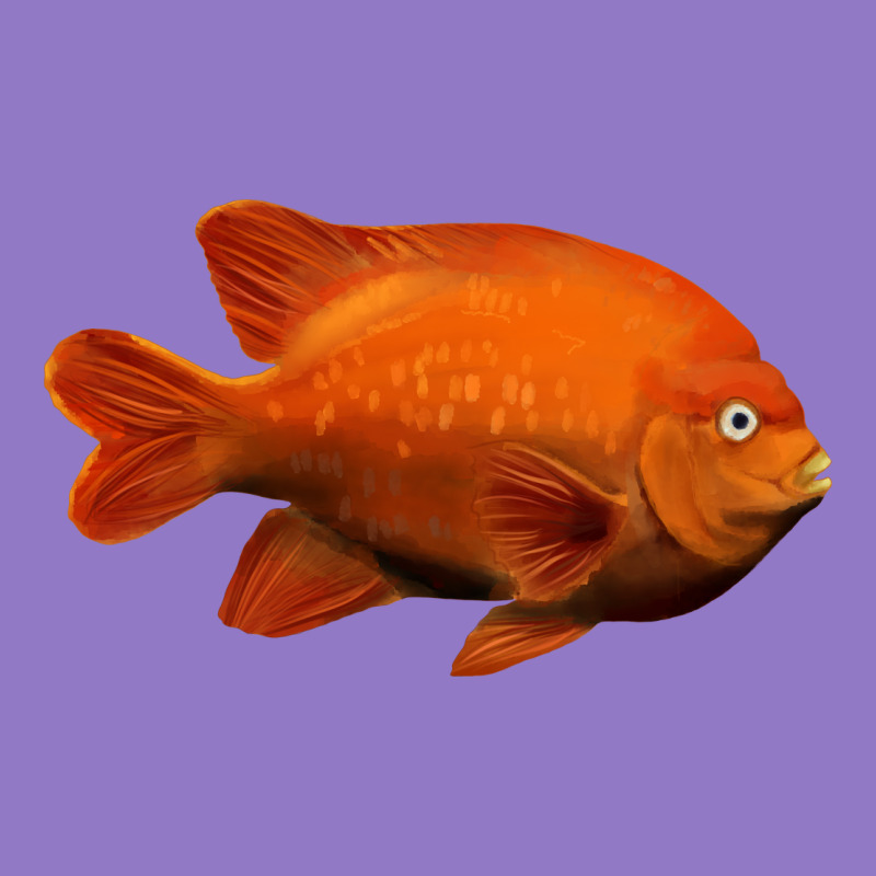 California Garibaldi Fish Urban Hoodie by RanaPortraitStore | Teevron