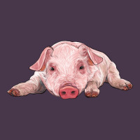 Baby Pig Heavyweight Hoodie | Teevron