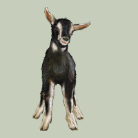 Hand Drawn Baby Alpine Goat Long Sleeve Tee | Teevron