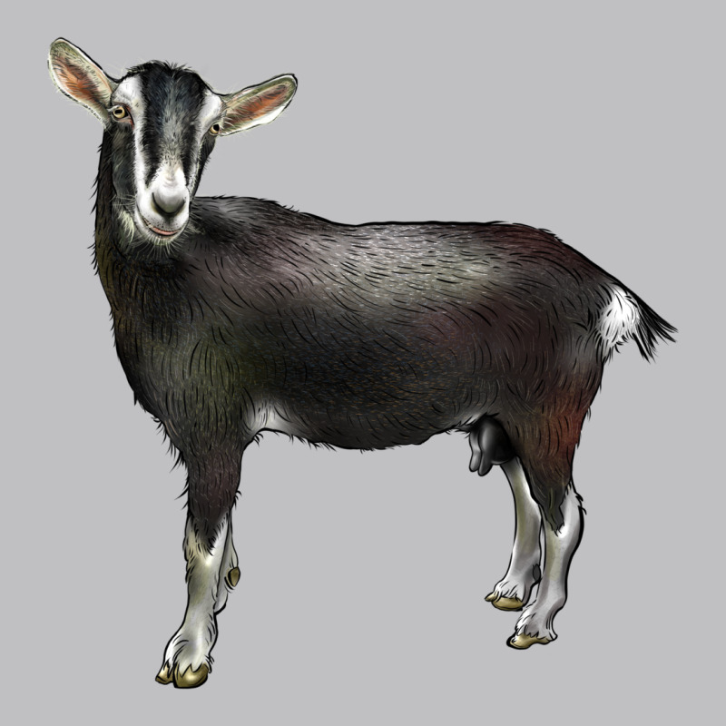 Alpine Goat Long Sleeve Tee by LillyAllenDesigns | Teevron