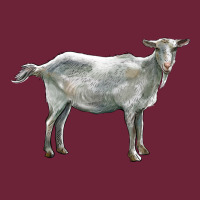 Saanen Goat Long Sleeve Tee | Teevron