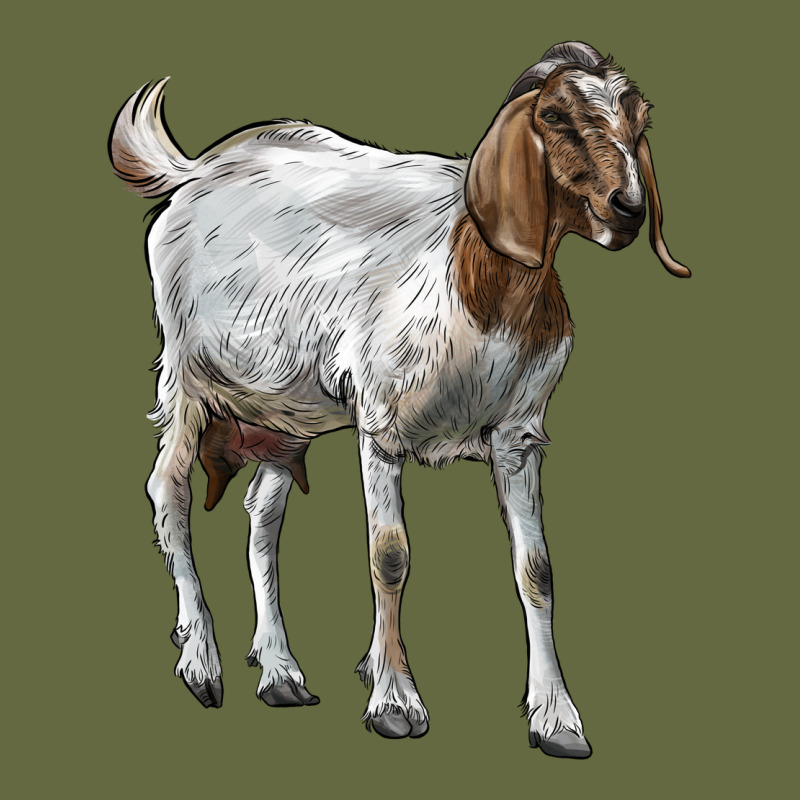 Boer Goat Long Sleeve Tee by LillyAllenDesigns | Teevron