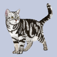 American Shorthair Cat Long Sleeve Tee | Teevron