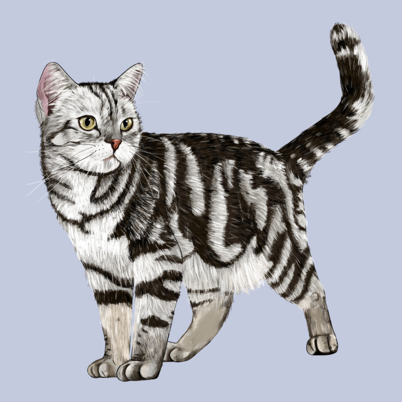 American Shorthair Cat Long Sleeve Tee by LillyAllenDesigns | Teevron