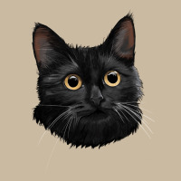Bombay Cat Face Long Sleeve Tee | Teevron
