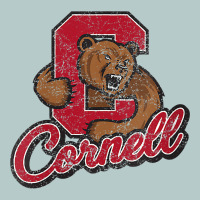 Cornell Heavy Core Tee | Teevron