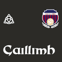 Galway Gaillimh Irish Gaelic Football And Hurling Premium Heavy Core Tee | Teevron