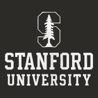 Stanford University Logo Heavy Core Tee | Teevron