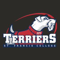 St. Francis Terriers(sfc), Brooklyn Heavy Core Tee | Teevron