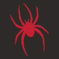 Richmond Spiders Heavy Core Tee | Teevron