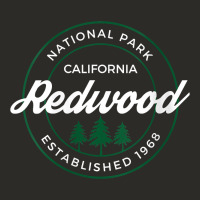 Womens Redwood National Park California Gifts Souvenir Ca V Neck T Shi Heavy Core Tee | Teevron