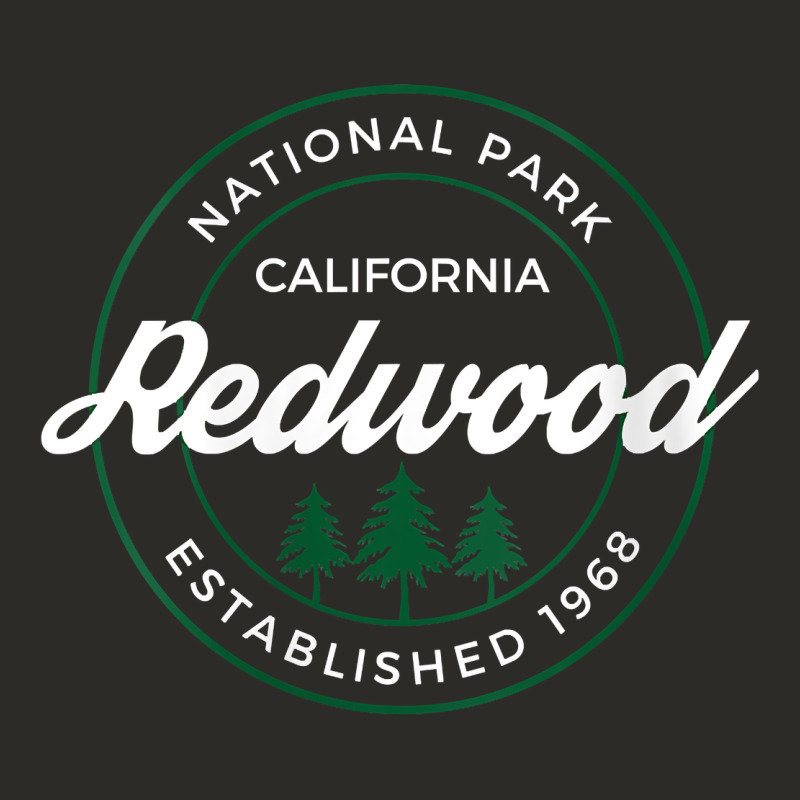 Womens Redwood National Park California Gifts Souvenir Ca V Neck T Shi Heavy Core Tee by Craftify | Teevron