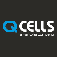 Mesmerizing Q Cells Heavy Core Tee | Teevron