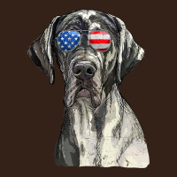 Great Dane Sunglasses American Usa Flag 4th Of July Fourth T Shirt Heavy Core Tee | Teevron