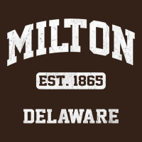 Milton Delaware De Vintage State Athletic Style T Shirt Heavy Core Tee | Teevron