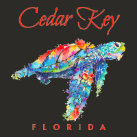 Cedar Key Florida Watercolor Sea Turtle Sweatshirt Heavy Core Tee | Teevron
