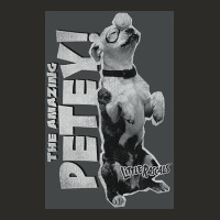 Little Rascals, Amazing Petey Heavy Core Tee | Teevron