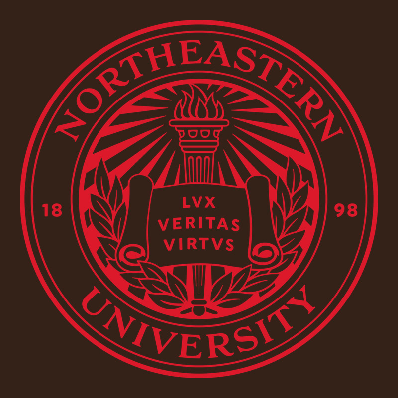 Northeastern University Heavy Core Tee by ArtChic | Teevron