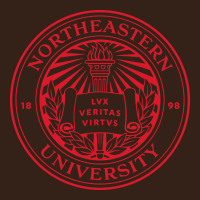 Northeastern University Heavy Core Tee | Teevron