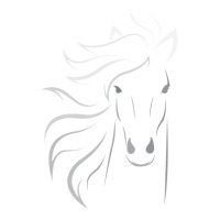 horse lover gifts | Teevron