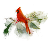 wild red cardinal bird long sleeve | Teevron