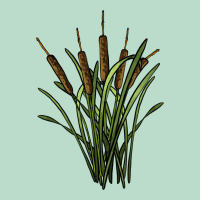 Reeds Premium Hoodie | Teevron