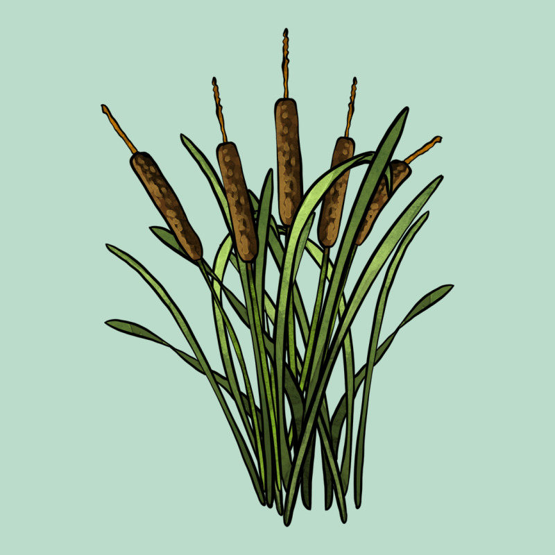 Reeds Premium Hoodie by BarkalooDesign | Teevron
