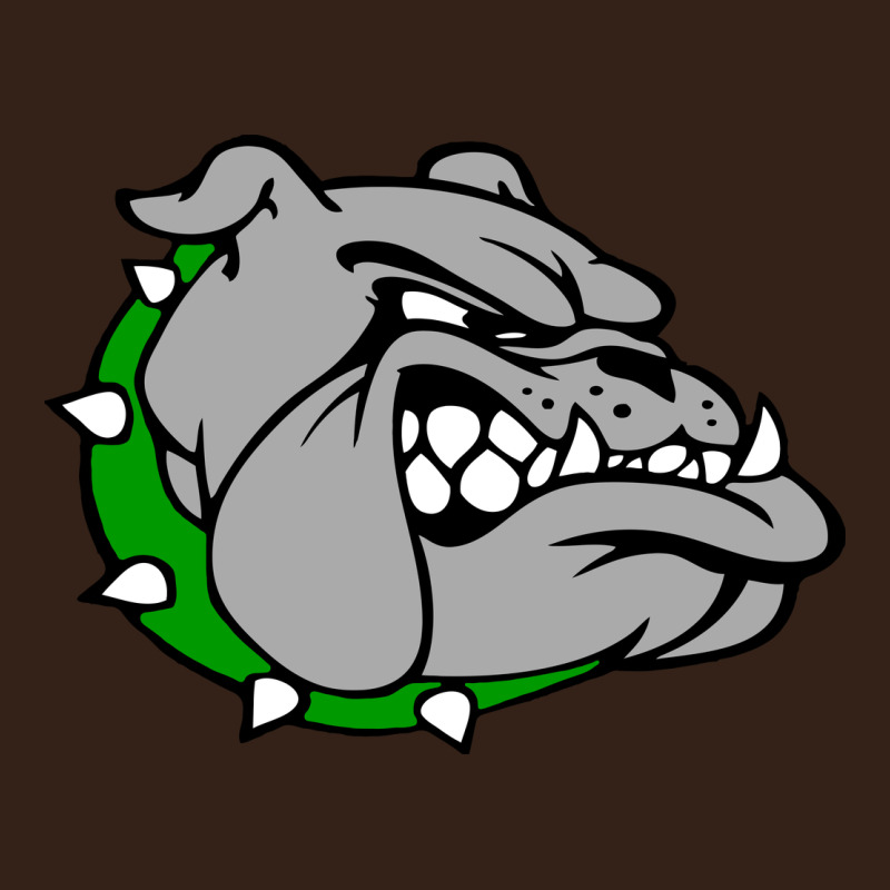 Ashville High School, Ashville Bulldogs Heavy Core Tee by PixelFlow | Teevron