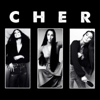 Cher, Cher Heart Of Stone, Cher Cher Cher Cher Cher, Cher Cher Cher Ch Heavy Core Tee | Teevron