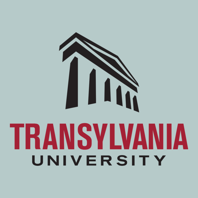 Transylvania University Heavy Core Tee by PixelFlow | Teevron