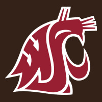 Washington State Cougars Heavy Core Tee | Teevron