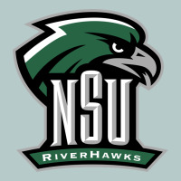 Northeastern State Riverhawks Heavy Core Tee | Teevron