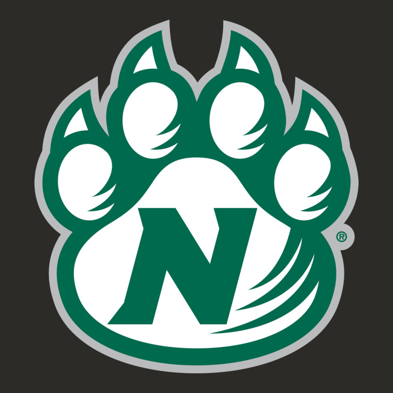 Northwest Missouri State Bearcats Heavy Core Tee by FloraArt | Teevron