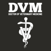 Doctor Of Veterinary Medicine Dvm Veterinarian Vet Tech Heavy Core Tee | Teevron