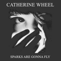 Catherine wheel, Catherine wheel art, Catherine wheel vintage, Catheri | Teevron