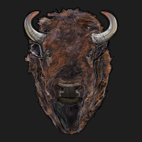 American Bison Heavyweight Hoodie | Teevron
